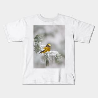 Evening Grosbeak - Algonquin Park Kids T-Shirt